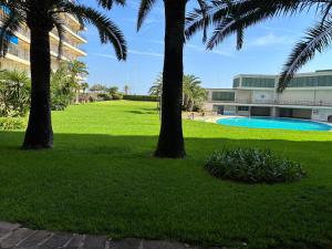 Gandia Tropicana Suite