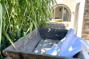 Dammuso Civulia Pantelleria