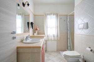Foxi lioni img17