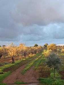 Zeitunalodge Favolosa Porto Cesareo