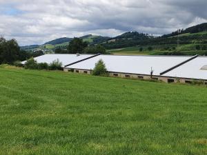 Ferienwohnungen Am Finkenweg