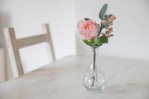 Wonderful penthouse center Manresa