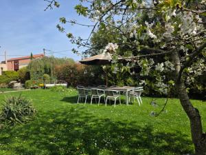 Loft des volcans, jardin, brasero & bain nordique