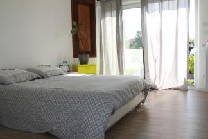 Appartement de 50m carré entièrement rénové
