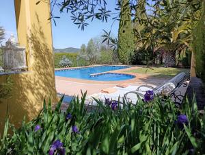 Andalusian experience