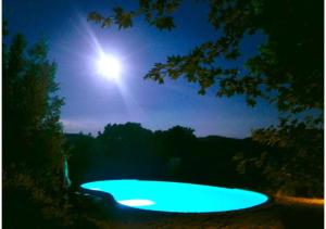 Paradis Oasis Santa Maria