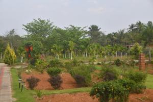 Eden Garden - An Exquisite Home Stay