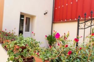Casa Vacanze Sa Domixedda img21