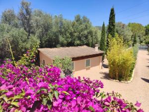 Agroturismo Son Bauzanet