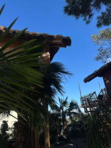 D PALM Premium Living - Kalathas, Chania