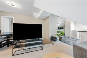 Central newly renovated apartment