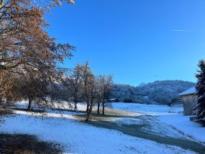 Chaleureuse Fruitière – 8 personnes