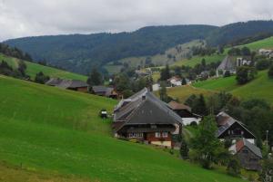 Drei Tannen
