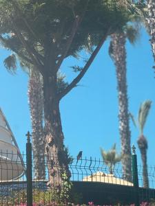 La-costa