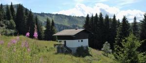 Chalet d Egloo 10-12 pers
