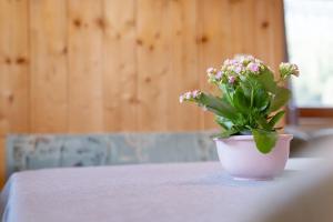 Appartement Egart 2