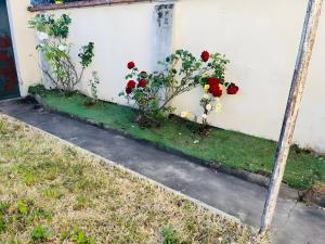 Gîte Le Flot