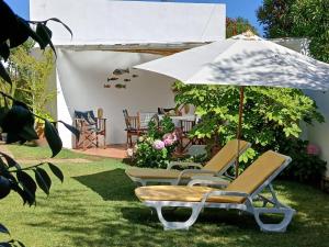 Casa da Ria 78 - Family House