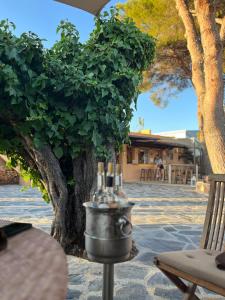 Finca Can Toni