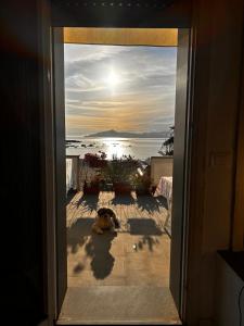 Beachfront penthouse with terrace