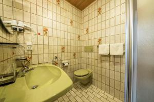 Residence Kronstein - Fewo 9