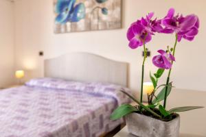 Corallo apartment
