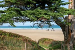 Ecolodge à 300m de la plage