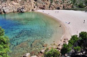 Sea Shell Isola Rossa