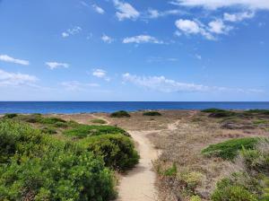 Residence Fronte Mare
