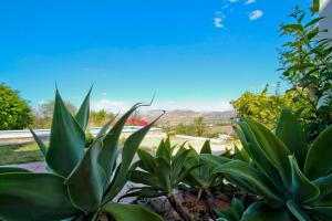 Casa con piscina caminito del rey