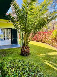 Casa Cataleia VILLA INN