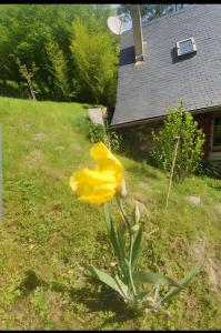 La Cardabelle - Pyrenee Ariegeoise