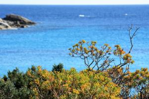Villa Claudia img9