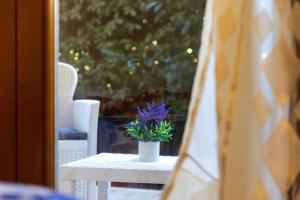 Mare e Terme- Viddalba img25