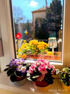 Karancs Apartman Salgótarján