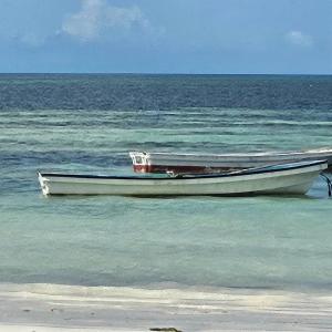 Serene Beachfront Bungalow Escape in Uroa, Zanzibar