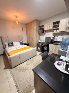 CasaLuxe254 South suites apartments