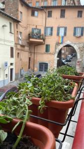 Appartamento Via Santa Elisabetta 2A img11
