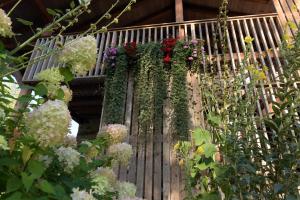 B&B Mas de Lagorae