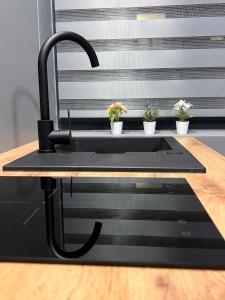 Stacja Nałęczów 1