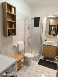 Apartman Knežina