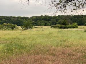 Gästeappartements Südstadt Bult