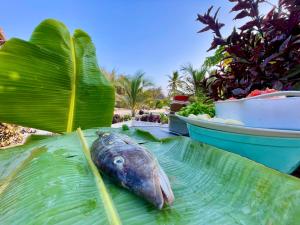 Apartments Maliki, Matemwe