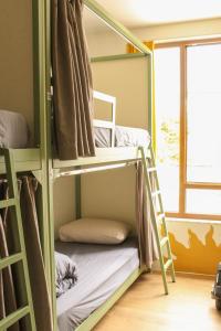 Shkodra Hostel & Day Tours
