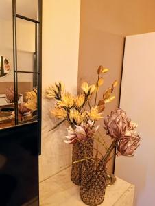 SOFIA suite