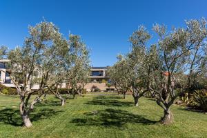 Suni Rural Relax img17