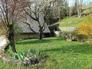 Duplex la source Amelie