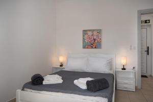 Seaside Luxury Villa 1 Min to Almyrida Beach