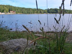 Fichtelcamper am Fichtelsee