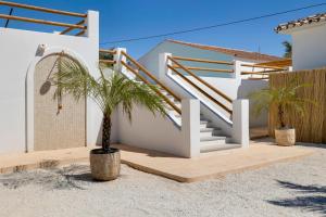 Finca Bohemia